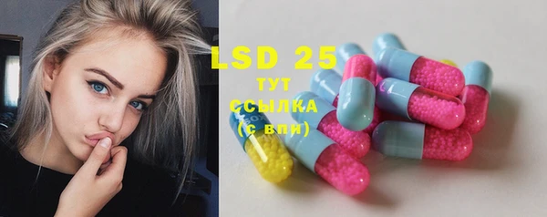 PSILOCYBIN Балабаново