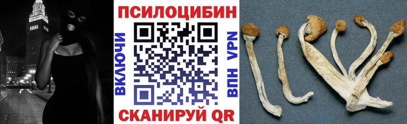 продажа наркотиков  Льгов  Псилоцибиновые грибы прущие грибы 